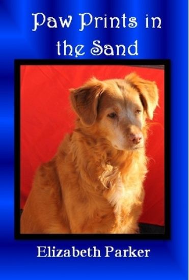 Paw Prints in the Sand