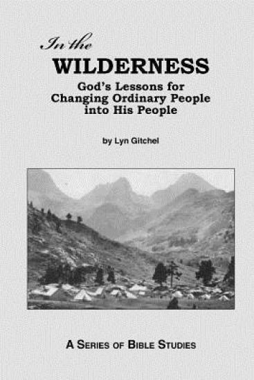 In the Wilderness: God's Lessons for Changing Ordinary People into His People