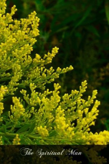 The Spiritual Man: The Spiritual Life Reduced To Its First Principles