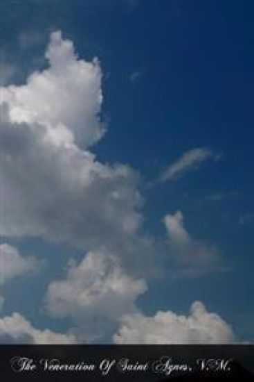 The Veneration Of Saint Agnes, V.M.: Mary's Waiting Maid