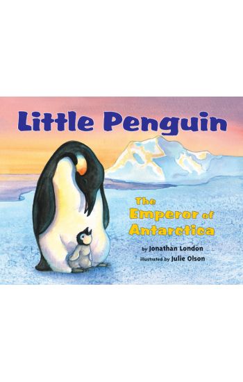Little Penguin