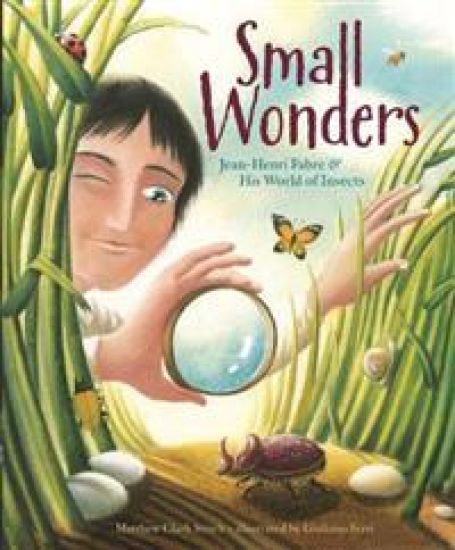 Small Wonders
