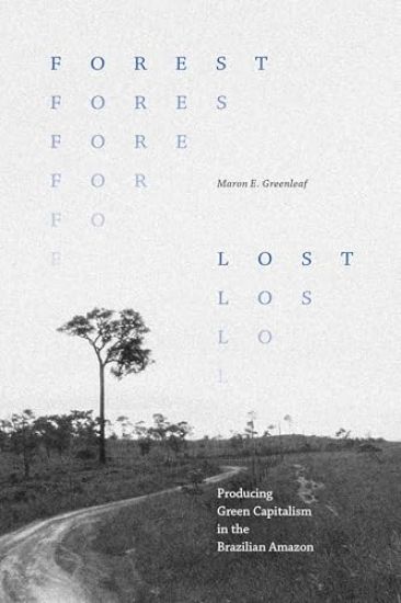 Forest Lost