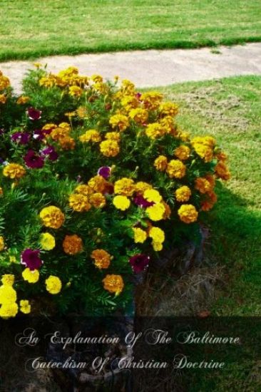 An Explanation Of The Baltimore Catechism Of Christian Doctrine: For The Use Of Sunday School Teachers And Advanced Classes