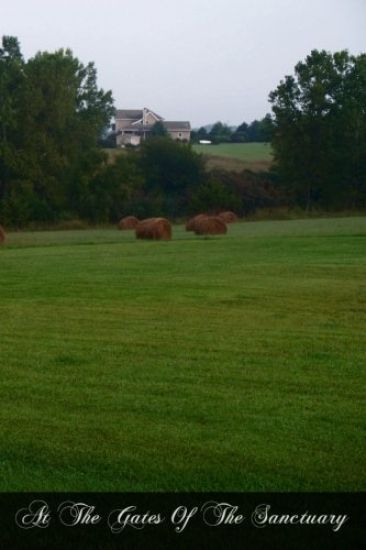 At The Gates Of The Sanctuary: The Postulant And The Novice