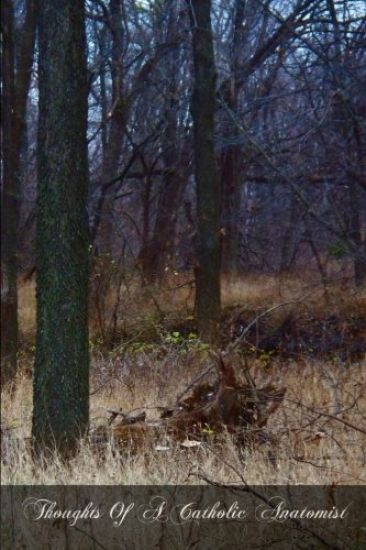 Thoughts Of A Catholic Anatomist