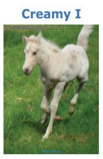 Creamy 1: You chose April Fools Foal