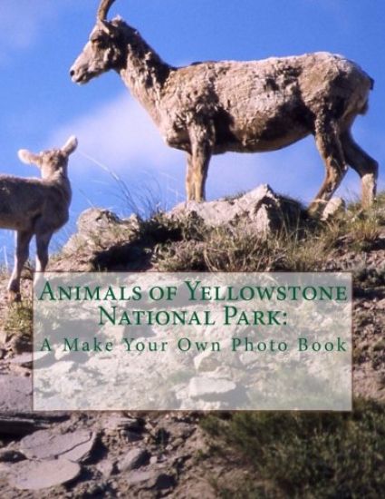 Animals of Yellowstone National Park: A Make Your Own Photo Book