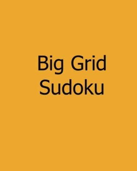 Big Grid Sudoku: Level 1 and Level 2 Sudoku Puzzles