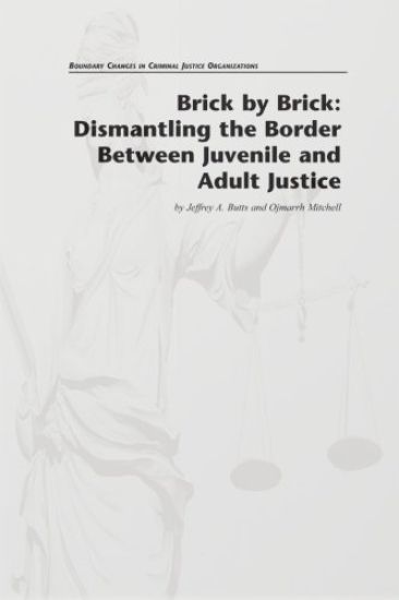 Brick by Brick: Dismantling the Border Between Juvenile and Adult Justice