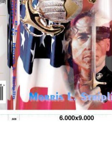 Grey Meadows, P.I.: Goodbye Semper Fi