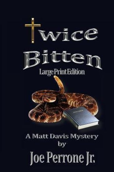 Twice Bitten: A Matt Davis Mystery