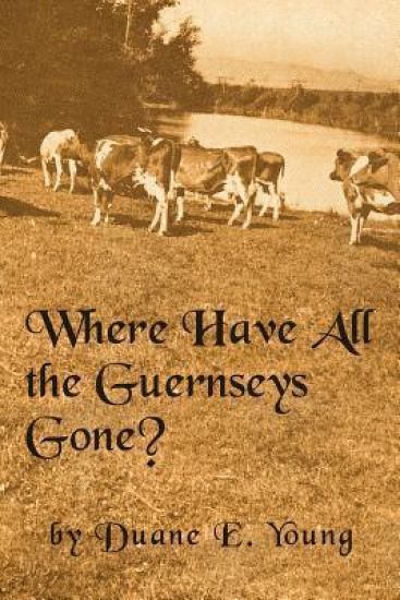 Where Have All The Guernseys Gone?"