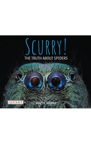 Scurry: The Truth about Spiders: The Truth about Spiders