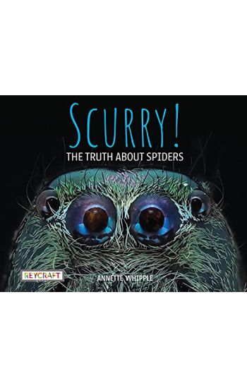 Scurry: The Truth about Spiders: The Truth about Spiders