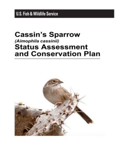 Cassin's Sparrow (Aimophila Cassinii) Status Assessment and Conservation Plan