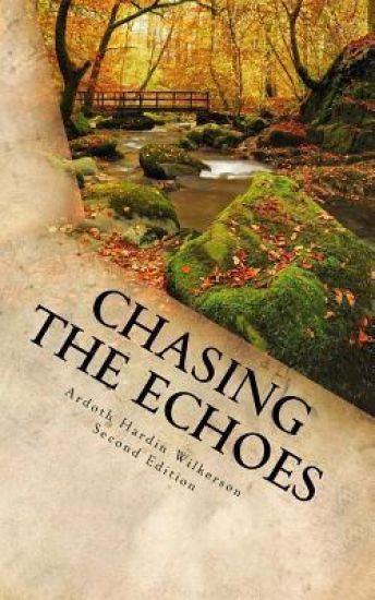 Chasing the Echoes