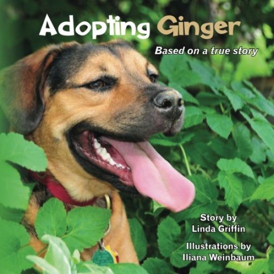 Adopting Ginger