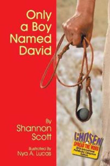 Only a Boy Named David