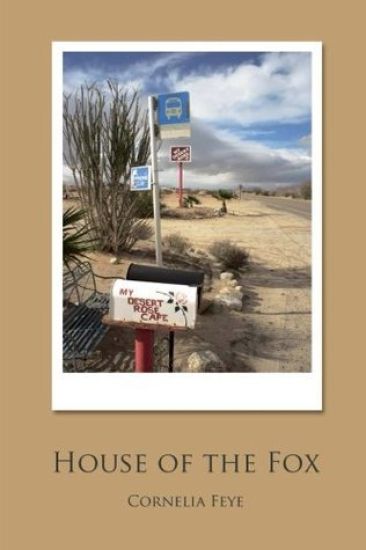 House of the Fox: An art mystery set in California's Anza Borrego Desert
