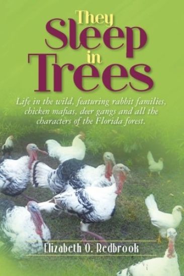They Sleep in Trees: Life in the wild, featuring rabbit families, chicken mafias, deer gangs and all the characters of the Florida forest.
