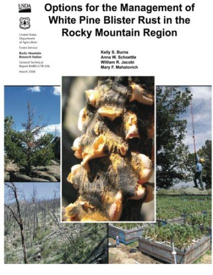Options for the Management of White Pine Blister Rust in the Rocky Mountain Region