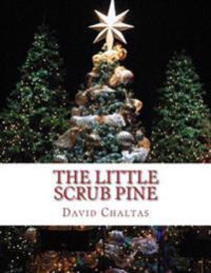 The Little Scrub Pine