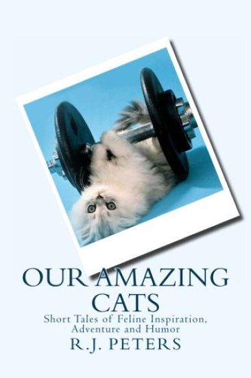 Our Amazing Cats: Short Tales of Feline Inspiration, Adventure and Humor
