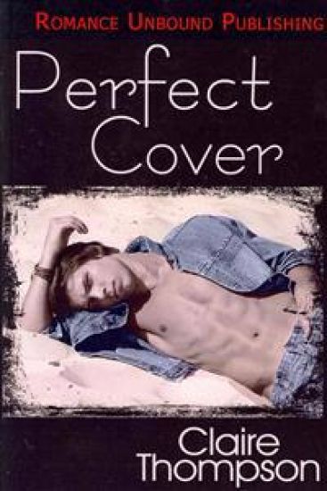 Perfect Cover