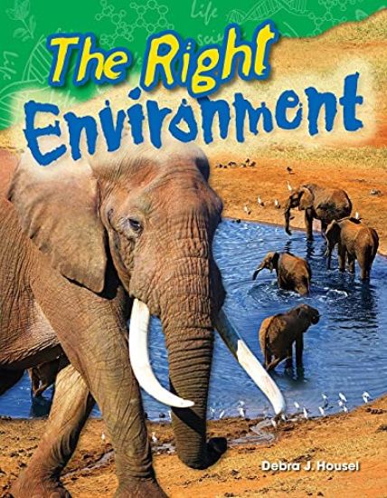 The Right Environment
