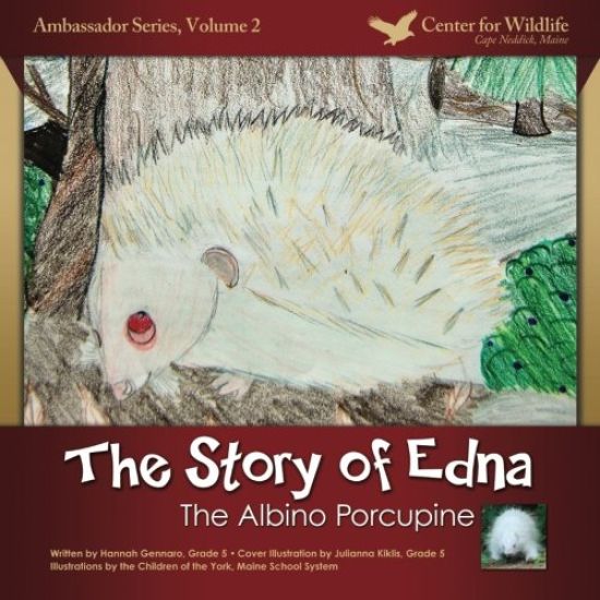 The Story of Edna: The Albino Porcupine