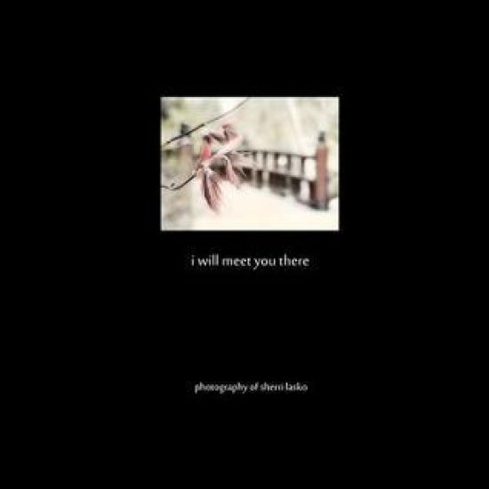 i will meet you there: photography of sherri lasko