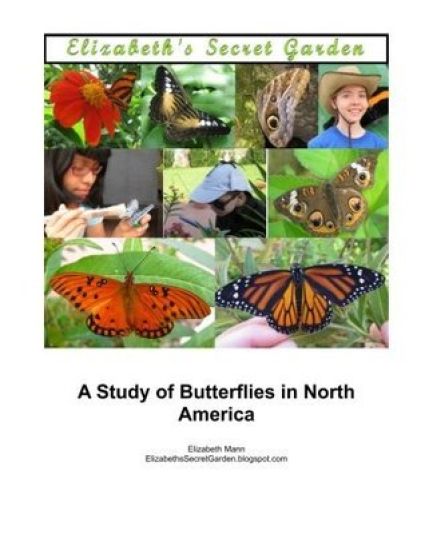 Elizabeth's Secret Garden: A Study of Butterflies in North America - 2nd edition