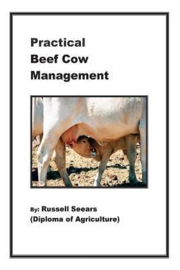 Practical Beef Cow Management