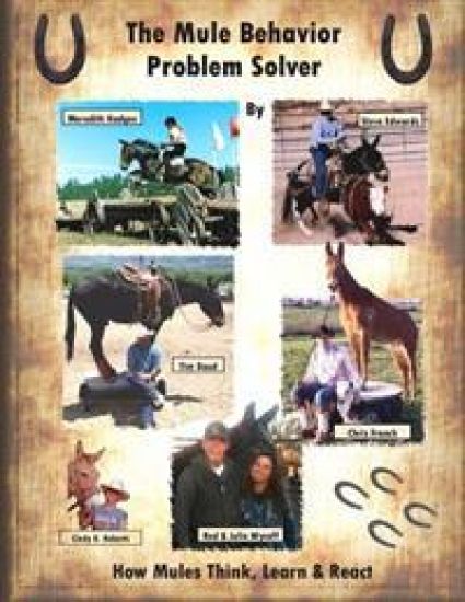 The Mule Behavior Problem Solver