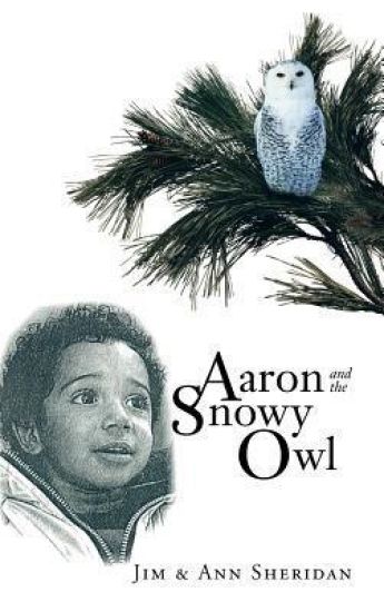 Aaron And The Snowy Owl