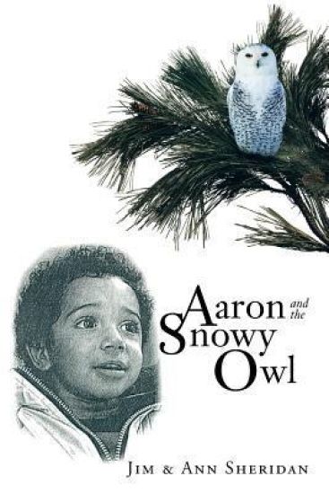Aaron And The Snowy Owl