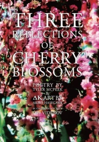 Three reflections of Cherry Blossoms