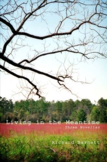 Living in the Meantime: Three Novellas