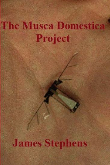 The Musca Domestica Project