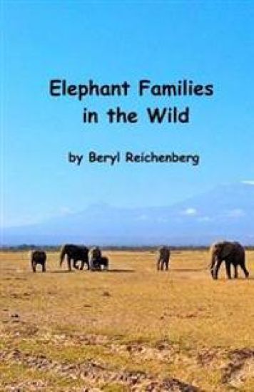 Elephant Families in the Wild: How do Elephant Families Live in the Wild?