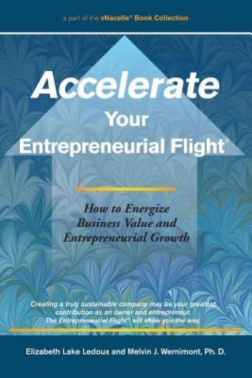 Accelerate Your Entrepreneurial Flight: How to Energize Business Value and Entrepreneurial Growth