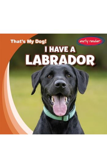 I Have a Labrador