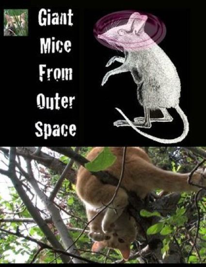 Giant Mice From Outer Space: (The Adventures of Finny the City Cat)