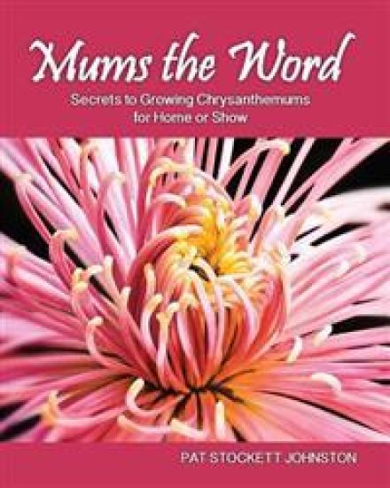 Mums the Word: Secrets to Growing Chrysanthemums for Home or Show
