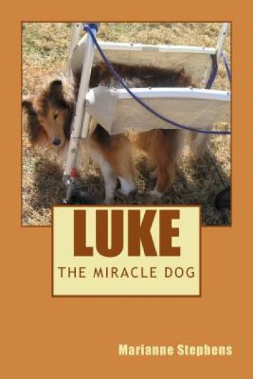 Luke - The Miracle Dog