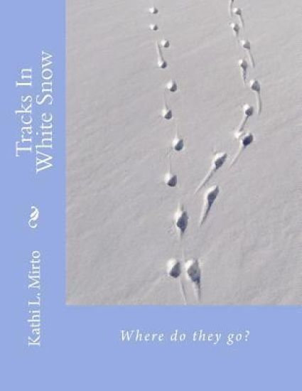 Tracks In White Snow: Where do they go?
