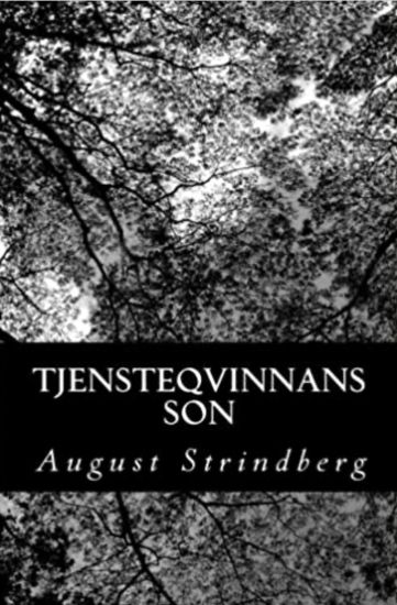 Tjensteqvinnans son