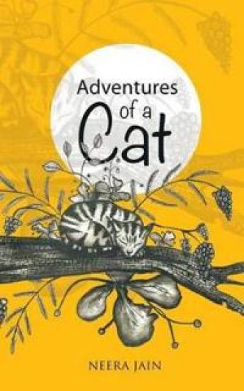 Adventures of a Cat