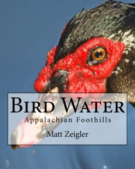 Bird Water: Appalachian Foothills